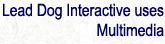 Lead Dog Interactive Uses Multimedia
